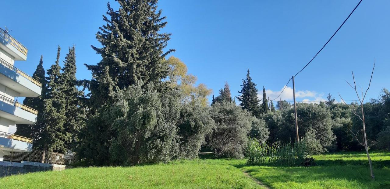 Όμορφο Studio Στην Πόλη Πάτρα מראה חיצוני תמונה